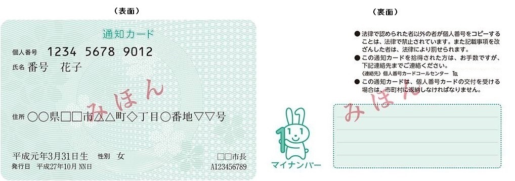 通知カード見本(表裏).jpg 通知カード見本(表裏).jpg