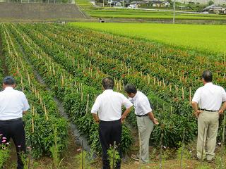 農建視察3.jpg 農建視察3.jpg