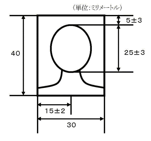 写真サイズ