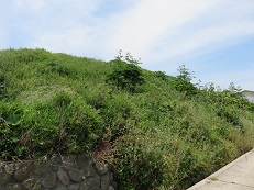 赤崎台場跡（海岸から撮影）