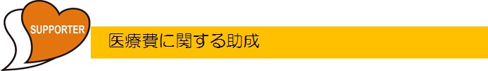 医療費に関する助成.jpg