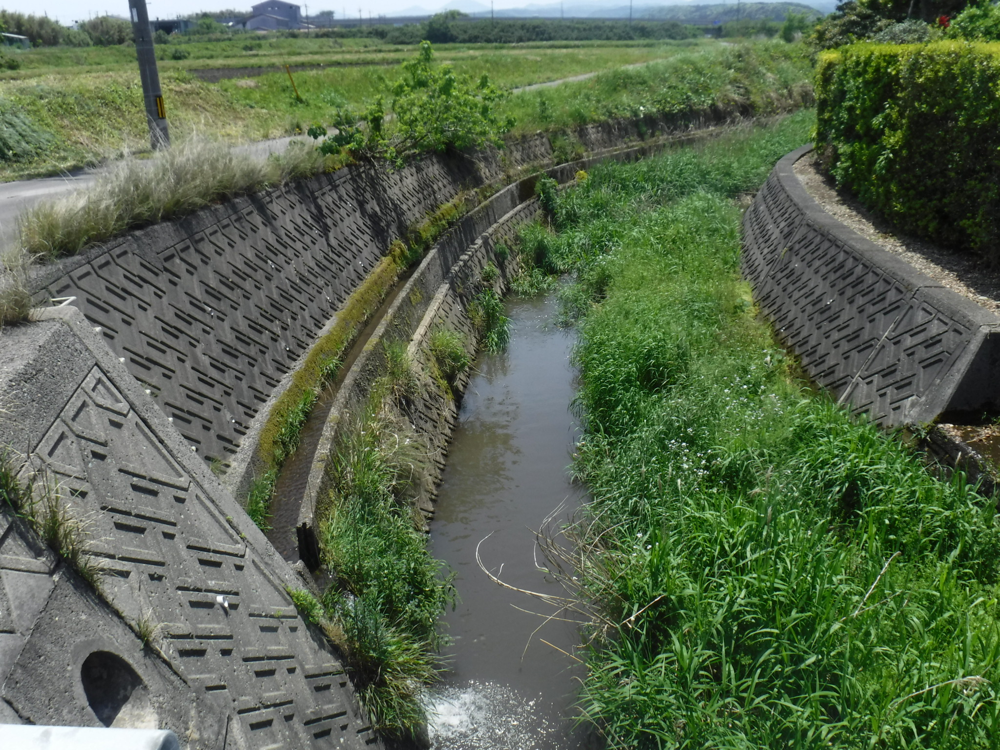 河川状況2.JPG