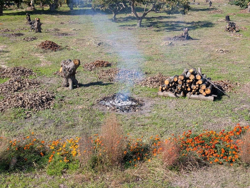 PXL_20251030_014930202.jpg PXL_20251030_014930202.jpg