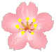 桜１２.gif