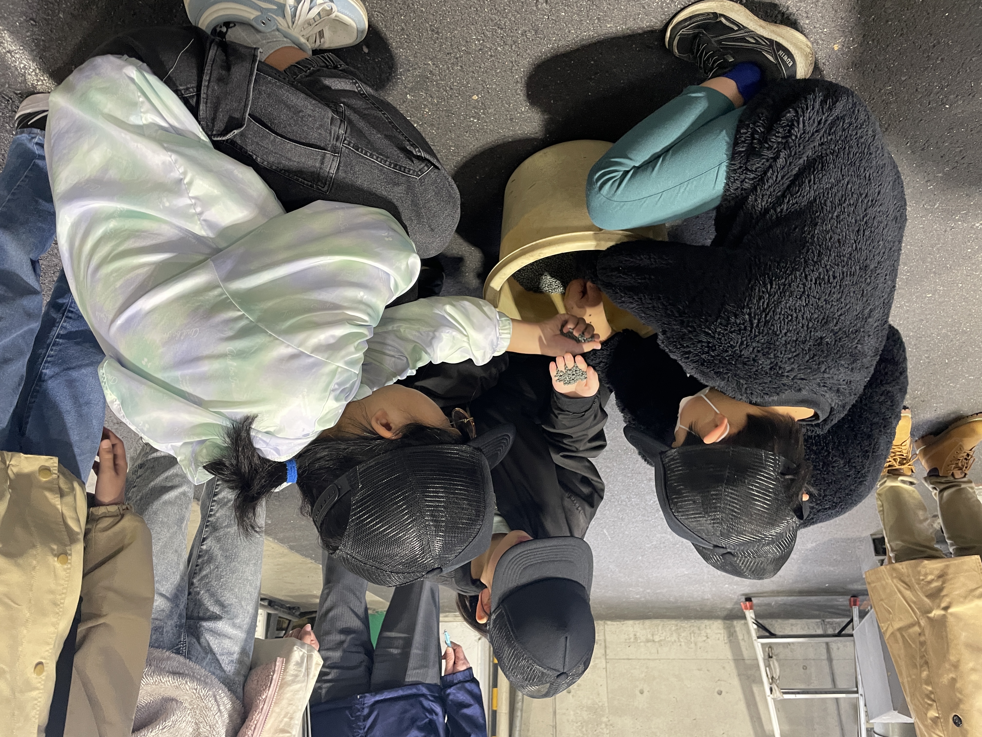 ペレットに興味津々 ペレットに興味津々