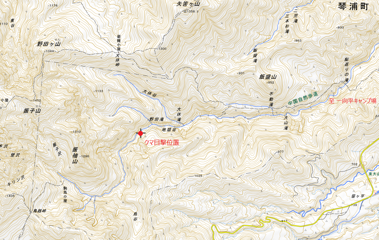 クマ目撃位置.png