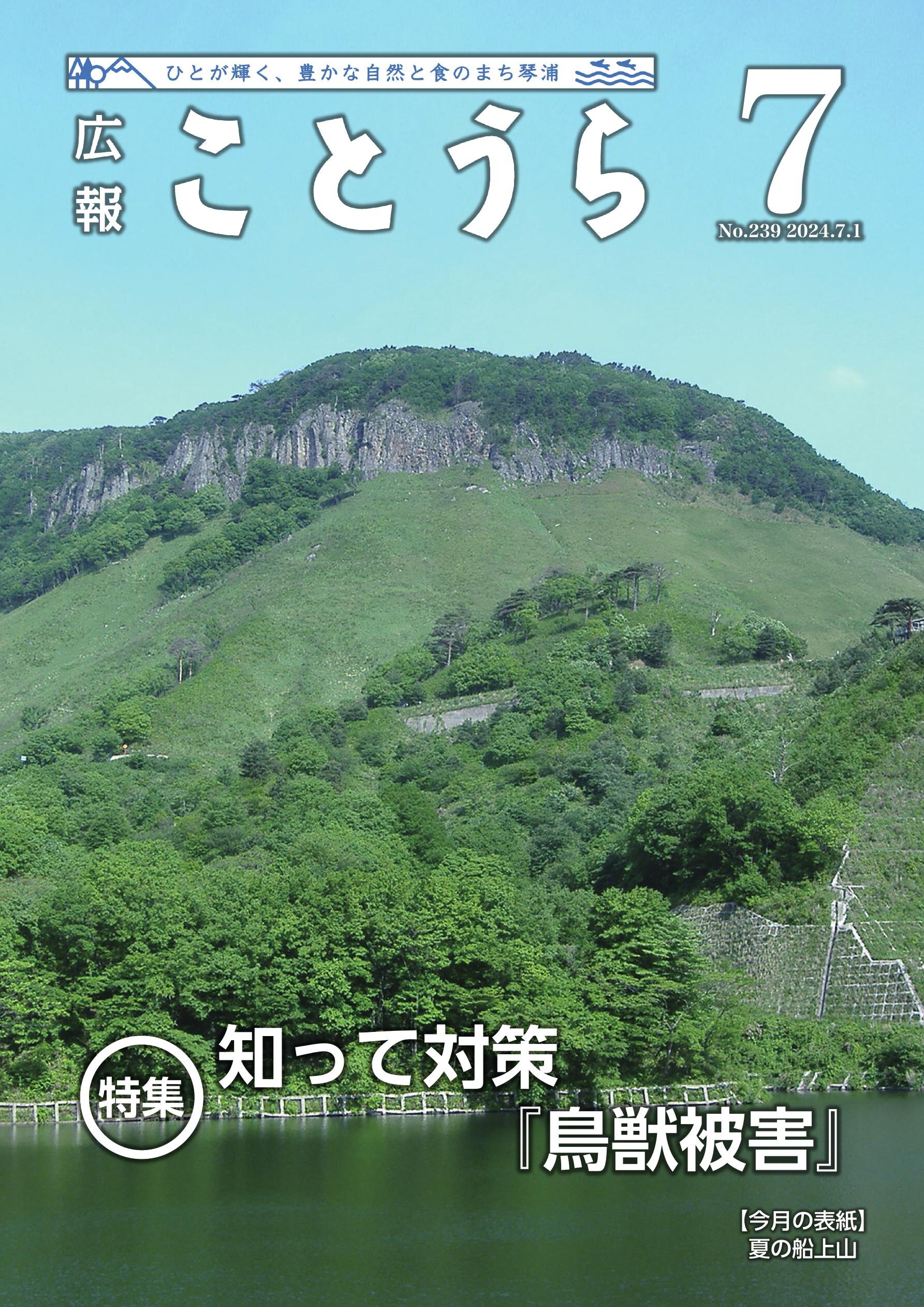 広報ことうらR6年7月号